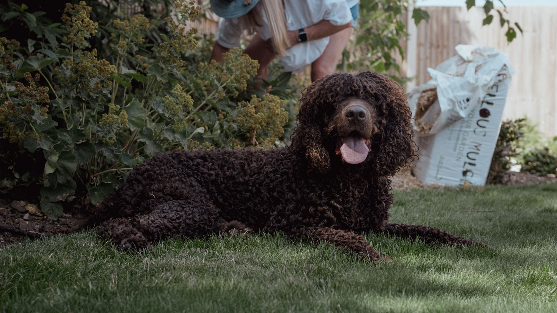 About Garden Mulch